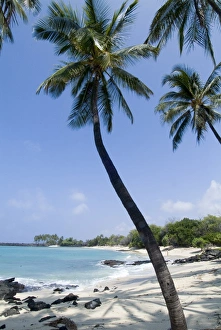 North America Beach Destinations Prints: Kona State Beach