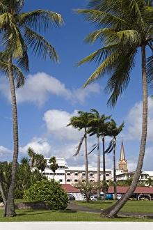 West Indies Island Hopping Prints: La Savane Park