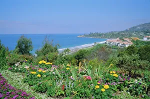 Travel Photography USA Prints: Laguna Beach