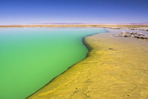 Laguna Cejar (floating salt lake lagoon), Atacama Desert, North Chile, Chile, South Laguna Cejar (floating salt lake lagoon), Atacama Desert, North Chile, Chile, South