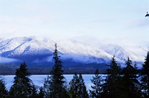 Pacific Northwest Nature Photography Prints: Lake Quinault