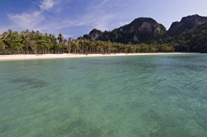Scenic Ocean Views Prints: Lanah Bay, Phi Phi Don Island