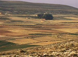 European Union Scenic Views Prints: Landscape in autumn