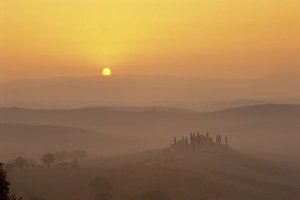 Cypress Tree Silhouette Prints: Landscape of fields and cypress trees at sunset in