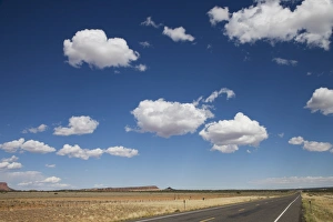 Blue Sky Scenic View Prints: Landscape, Nevada