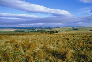 Uk Rural Scenery Prints: Landscape in the Scottish Borders