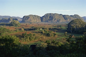 Cuba UNESCO World Heritage Site Prints: Landscape view of fields and trees in valley, with hills beyond, Vinales Valley