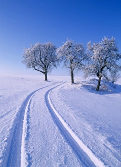 Winter Landscape Photography Prints: Landscape in winter