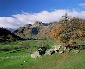 Prints of Langdale Pikes from Great Langdale, Lake District National Park, Cumbria, England, United Kingdom, Europe Cumbria Prints: Langdale Pikes Print from Great Langdale