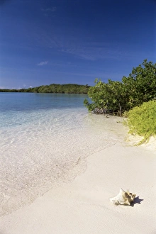 Nature Photography In America Prints: Lanqui, Los Roques