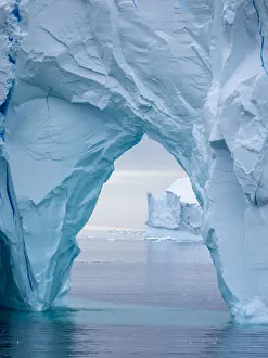 Large icebergs floating in the Bellingshausen Sea, Antarctica, Polar Regions Large icebergs floating in the Bellingshausen Sea, Antarctica, Polar Regions