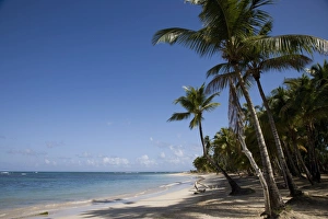 Images Dated 5th February 2008: Las Terrenas Print, Dominican Republic Landscape