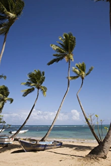 Dominican Republic Coastline Prints: Las Terrenas, Samana Peninsula, Dominican Republic, West Indies, Caribbean