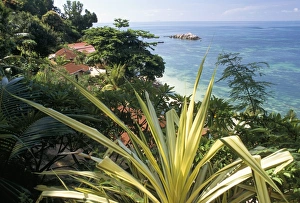 Seychelles Travel Destination Prints: Lazio Beach