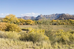 Outdoor Travel Destinations USA Prints: _LEF4769