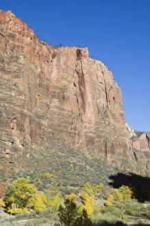 Vertical Landscape Photography Tips Prints: _LEF4849