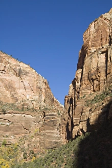 Vertical Landscape Images Prints: _LEF4865