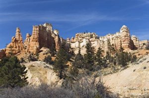 Cedar Breaks National Monument Prints: _LEF5238