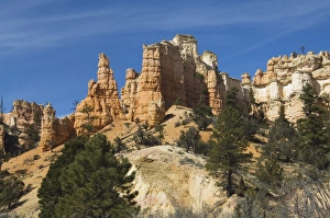 Cedar Breaks National Monument Prints: _LEF5240