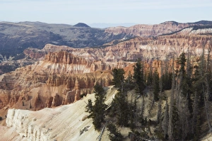 Cedar Breaks National Monument Prints: _LEF5248