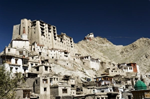 Leh Palace Print - Leh, Ladakh Himalayas India