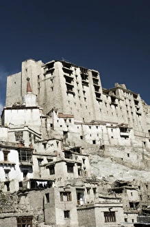 Ladakh Travel Guide Prints: Leh Palace