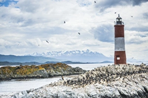Les Eclaireurs Lighthouse and cormorant colony on an island in the Beagle Channel Les Eclaireurs Lighthouse and cormorant colony on an island in the Beagle Channel