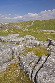 Limestone Pavement UK Prints: Limestone pavement and dry stone wall above Settle, Yorkshire Dales National Park
