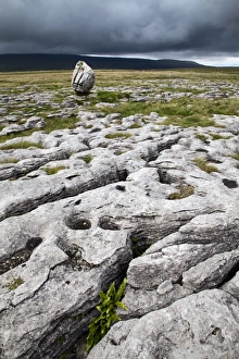 Tranquil Outdoor Scenes UK Prints: Limestone Pavement and Standing Stone