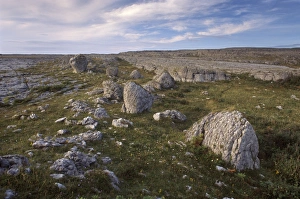 Limestone Landscape Prints: Limestone plateau