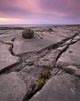 County Clare Scenery Prints: Limestone plateau at sunset