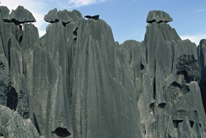 Eroded Rock Formations Asia Prints: Limestone rock formations, Stone Forest, near Kunming, Yunnan, China, Asia