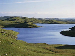 United Kingdom Outdoor Photography Prints: Llyn Teifi
