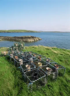 Prints of Lobster pots, Roaring Water Bay, County Cork, Munster, Eire (Republic of Ireland), Europe Cork Prints: Lobster Pots Print, Roaring Water Bay