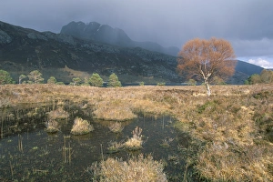 Wester Ross Landscape Prints: Loch Maree