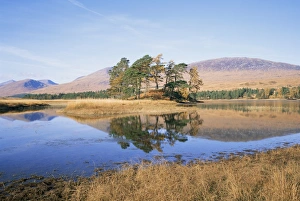 Loch Tulla Scotland Prints: Loch Tulla