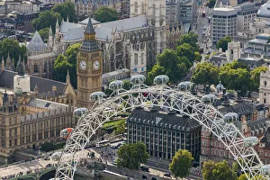 The London Eye and Jubilee Gardens with the Houses of Parliament in the distance, London The London Eye and Jubilee Gardens with the Houses of Parliament in the distance, London