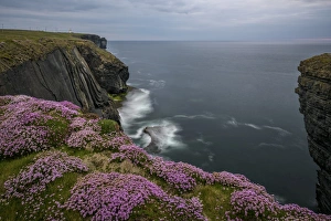 Prints of Loop Head, County Clare, Munster, Republic of Ireland, Europe Images Dated 2016 May: Loop Head Print, a scenic landscape of Ireland's west coast