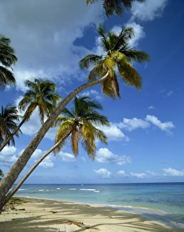 African Coastal Scenes Prints: Mahe, Seychelles