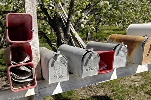 Mailbox Print, Manson Area