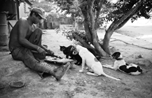 Prints of Man preparing breakfast, watched by dogs and a cat, Medina, Venezuela, South America Venezuela Prints: Man preparing breakfast print, Venezuela