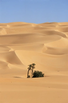 Africa Desert Scenery Prints: Mandara area