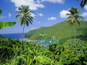 Lesser Antilles Travel Destination Prints: Marigott Bay
