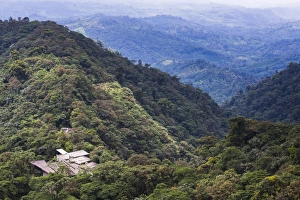 Ecuador Rainforest Prints: Mashpi Lodge, Choco Cloud Forest, a rainforest in the Pichincha Province of Ecuador