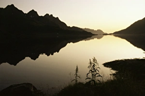 Scenic Norwegian Landscapes Prints: Midnight sun and calm reflections