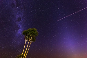 Milky Way with a tree at Lamington National Park, Queensland, Australia, Pacific Milky Way with a tree at Lamington National Park, Queensland, Australia, Pacific