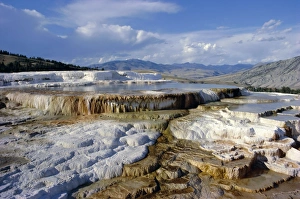 Yellowstone Scenic Views Prints: Minerva Terrace
