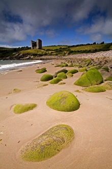 Colorful Irish Landscapes Prints: Minnard Beach, Dingle, County Kerry, Munster, Republic of Ireland, Europe