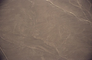 UNESCO World Heritage Site Peru Prints: Monkey, Nazca (Nasca) Lines