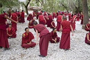 Monks Learning Session Print, Sera Monastery, Tibet